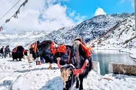 3Night 4 Days Manali Tour Packages